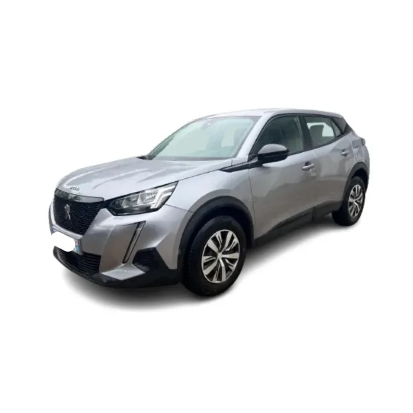 2008 PEUGEOT style 100CV