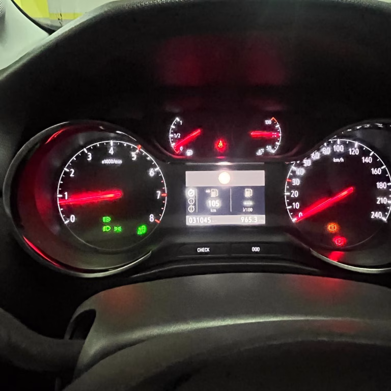 RENAULT Opel CROSSLAND - Hani location (3)