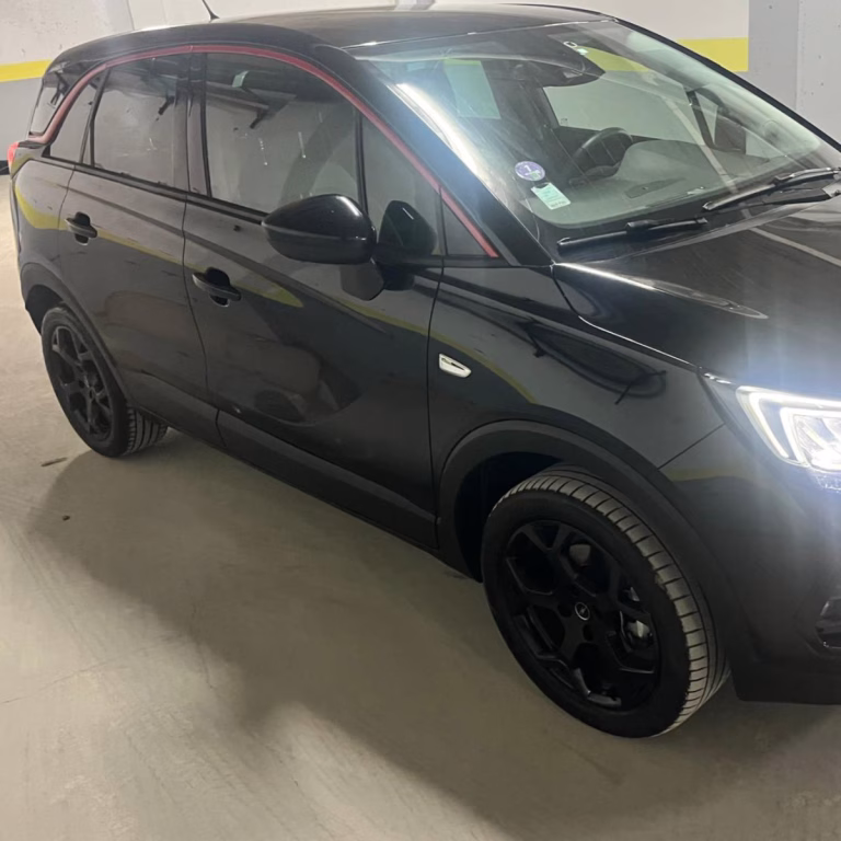 RENAULT Opel CROSSLAND - Hani location (8)